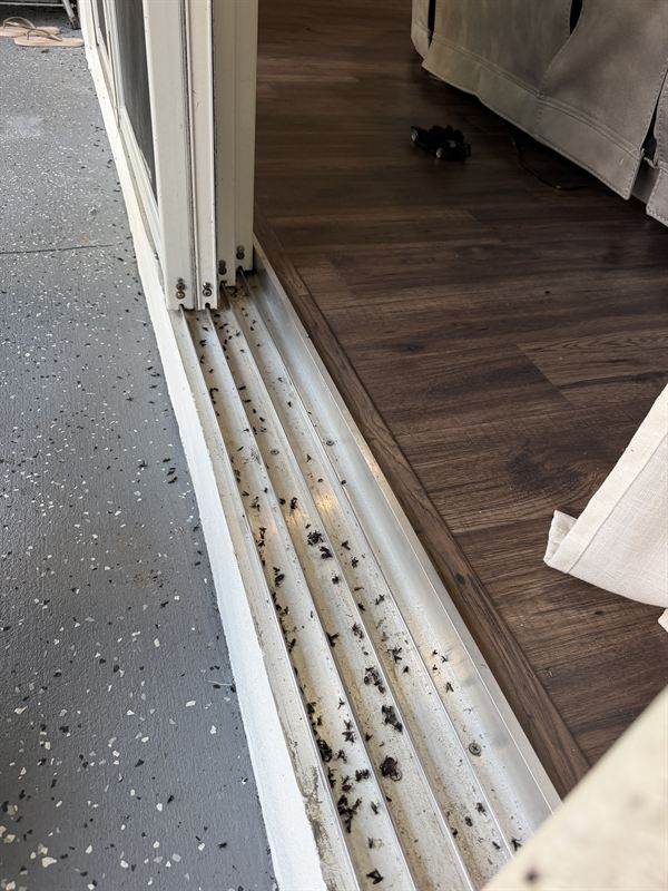 Real Central Florida sliding door bottom track with grit, sand and dead bugs jammed into the channels — what destroys sliding door rollers